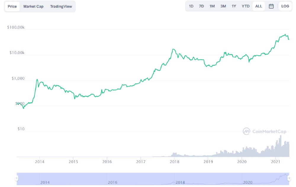 Bitcoin Price Logarhitmic Chart